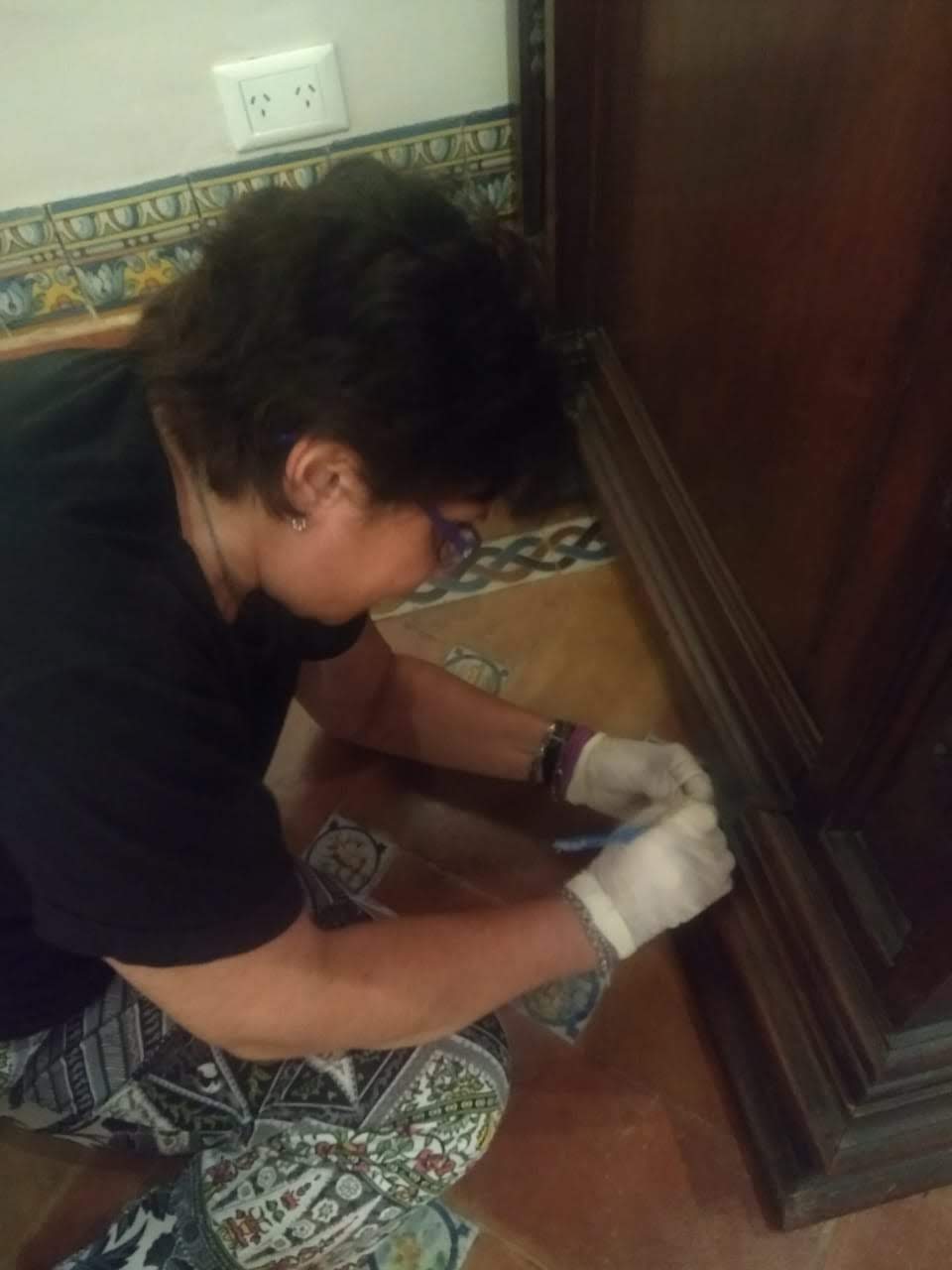 Actividades especiales con las áreas del Museo