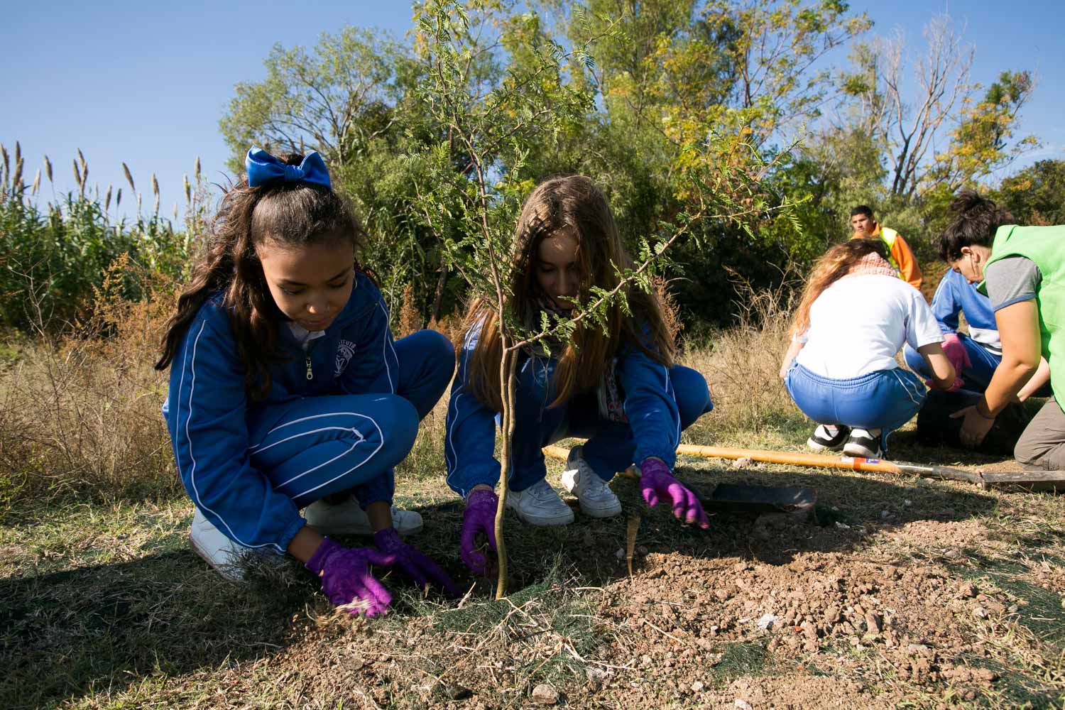 Educación Ambiental: desafíos y oportunidades