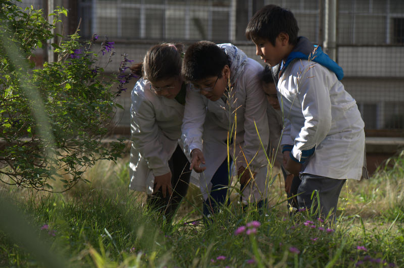 Jornada ambiental por nuestro planeta