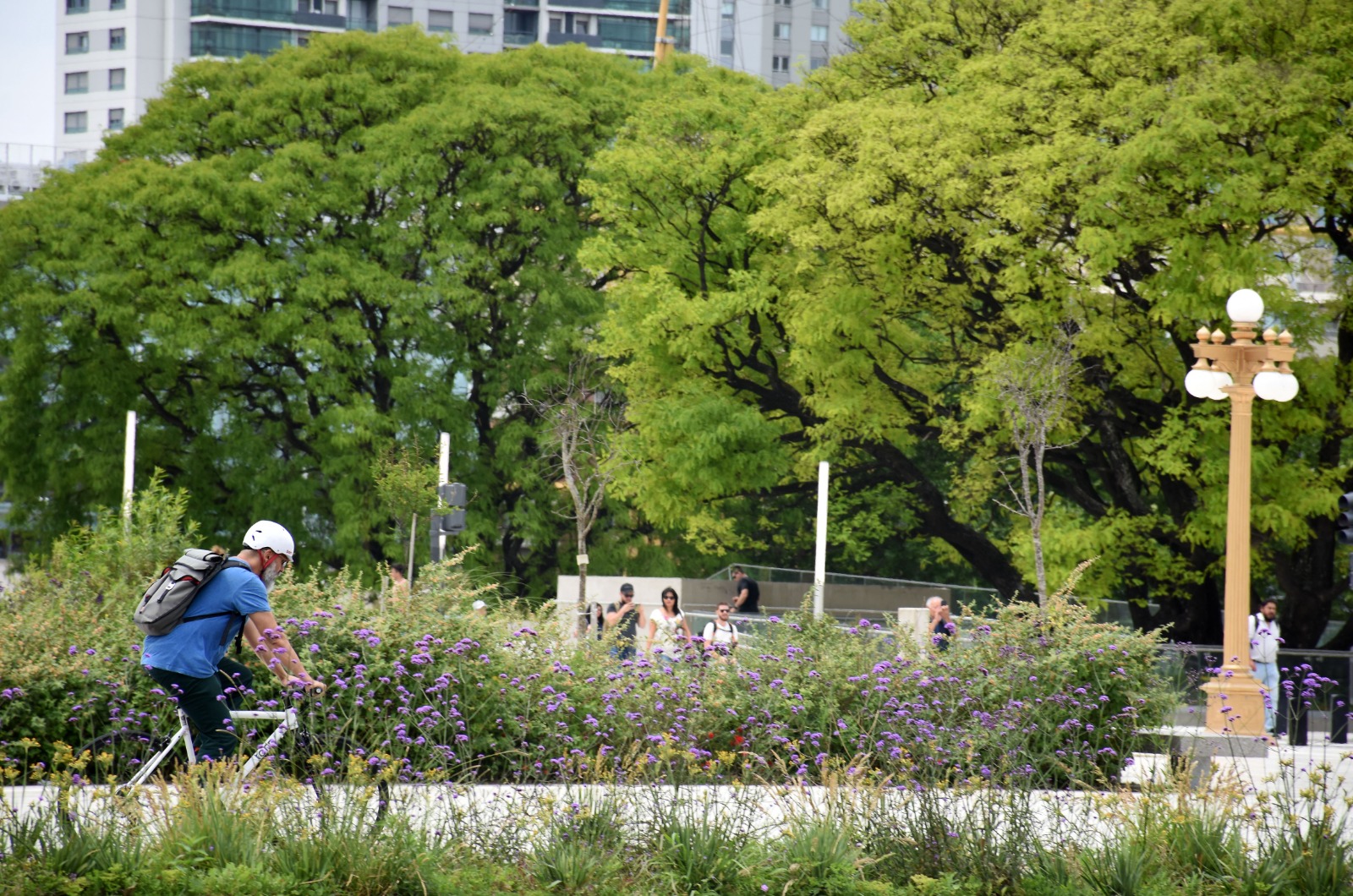 22 de mayo: Día de la Diversidad Biológica
