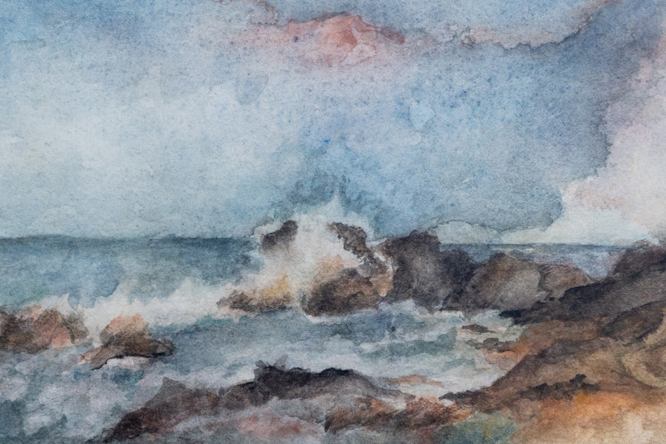 Cecilia Najles. Pinceladas de vida.