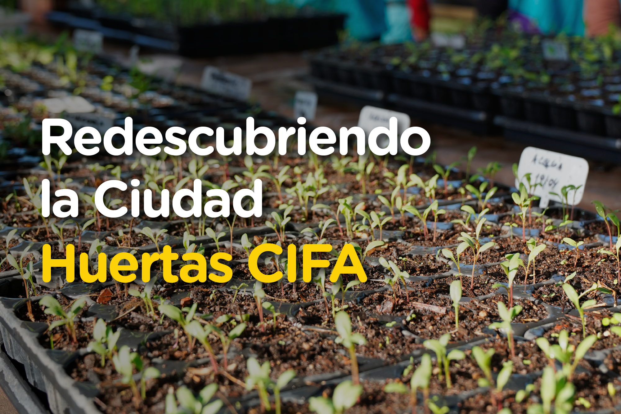 Redescubriendo la Ciudad: Centro de Información y Formación Ambiental
