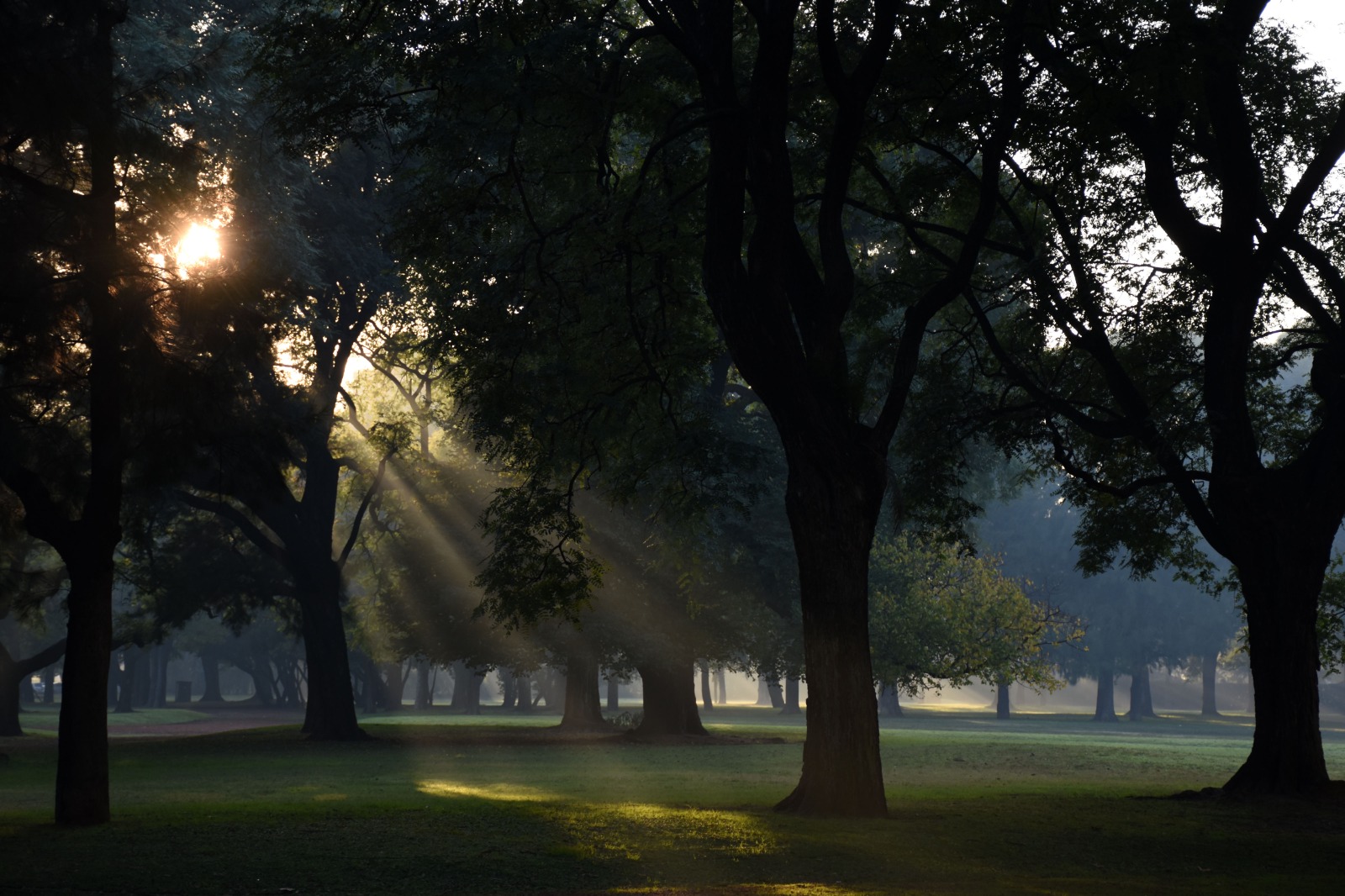 5 de Junio: Día del Ambiente