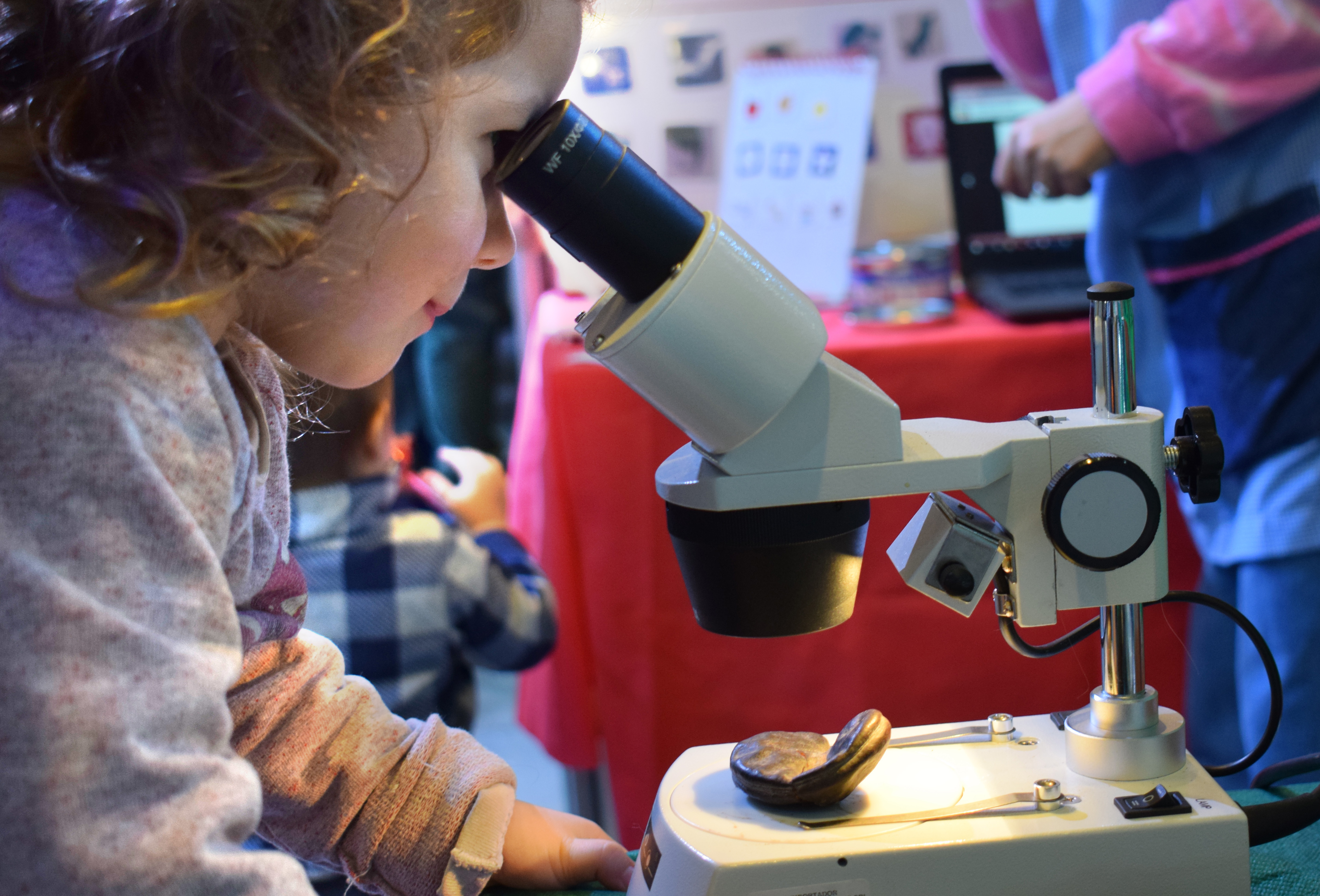 Más de 20.000 personas asistieron al festival educativo Innova