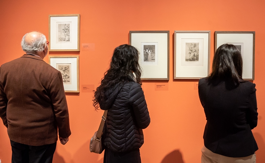 Goya. Los Disparates | Actividades especiales