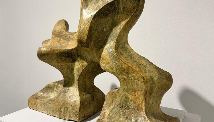 El Museo Perlotti presenta "Inestabilidad óptica y naturaleza orgánica"