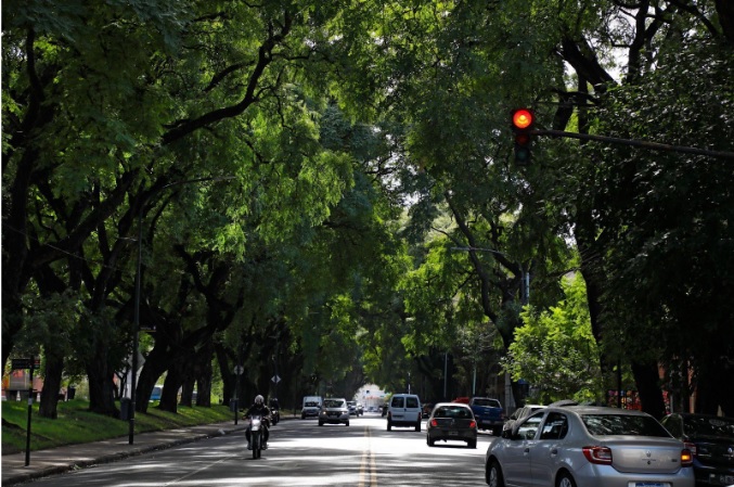 La Ciudad celebra el Día del Árbol con plantaciones, visitas al vivero, charlas y recorridos informativos