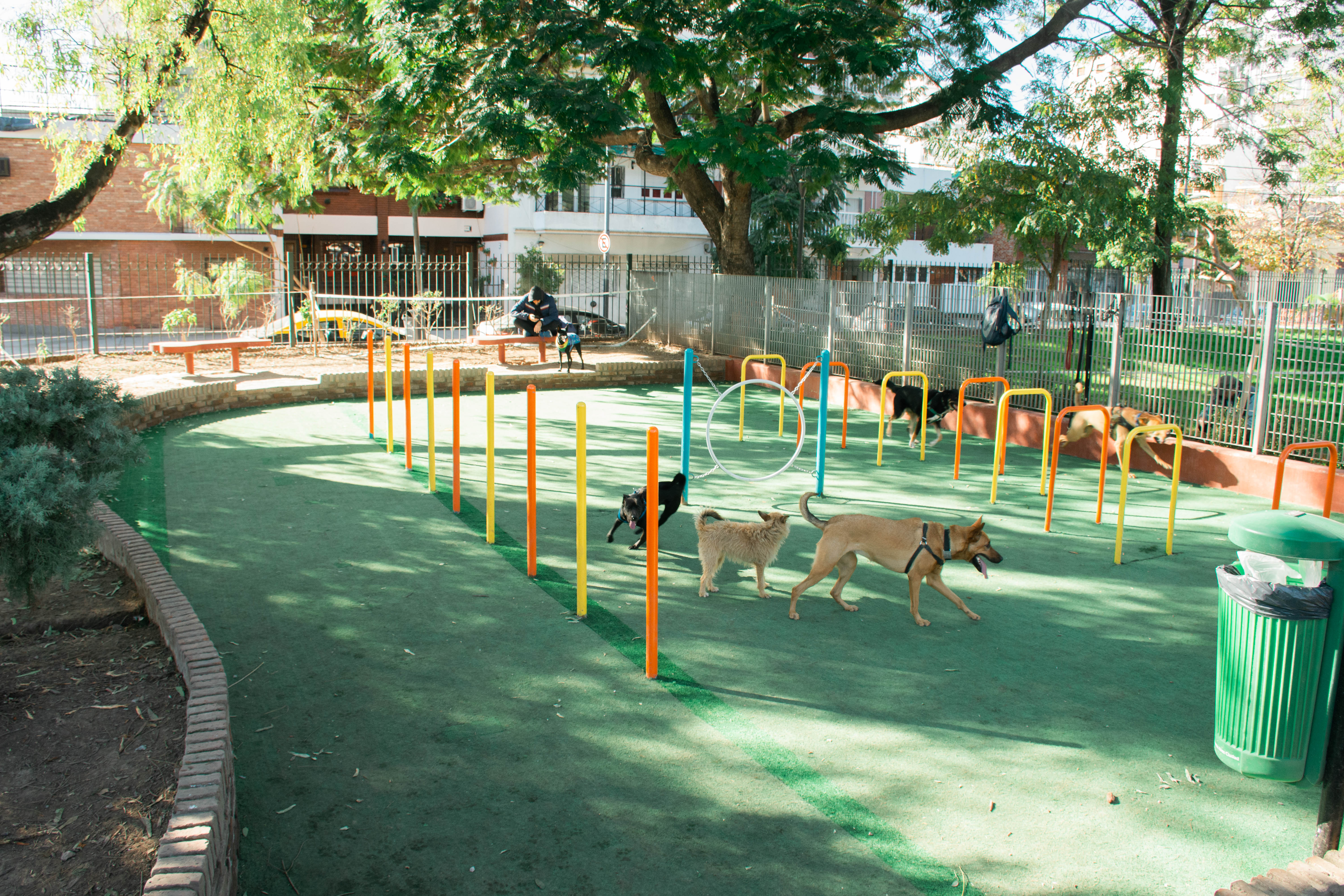 Nuevos caniles en Comunas de la Ciudad