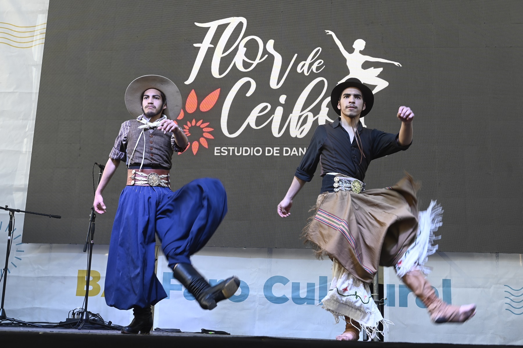 ¡Viví La Noche de las Peñas 2023!