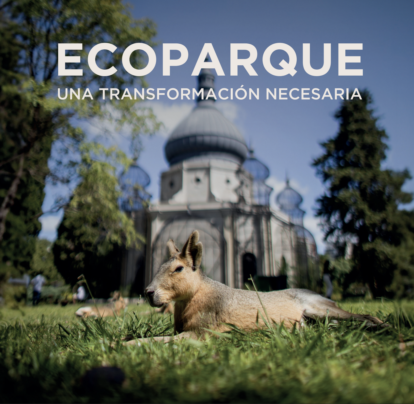 Historia de una transformación necesaria