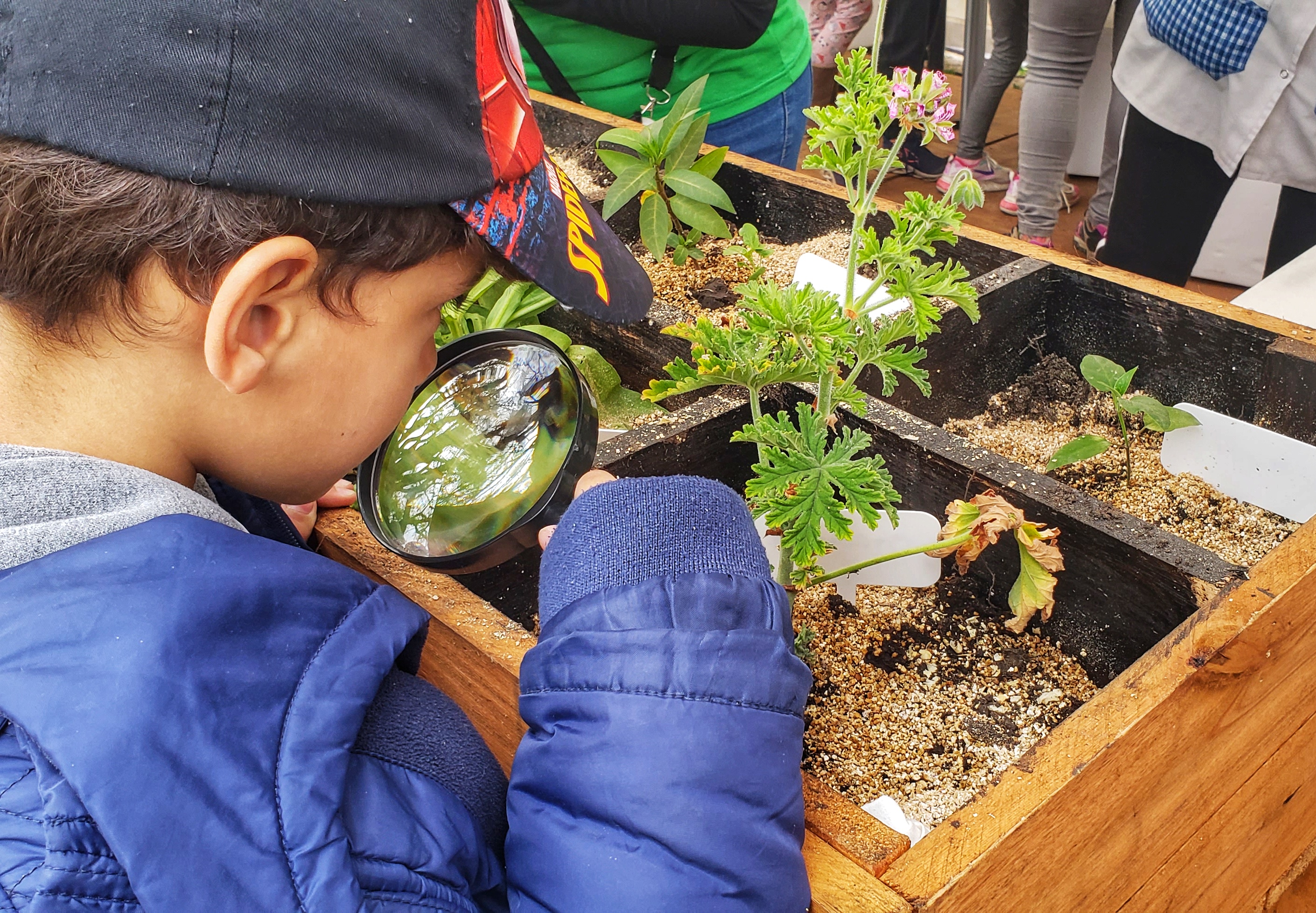 Nuevos avances en la Estrategia de Educación Ambiental de la Ciudad de Buenos Aires
