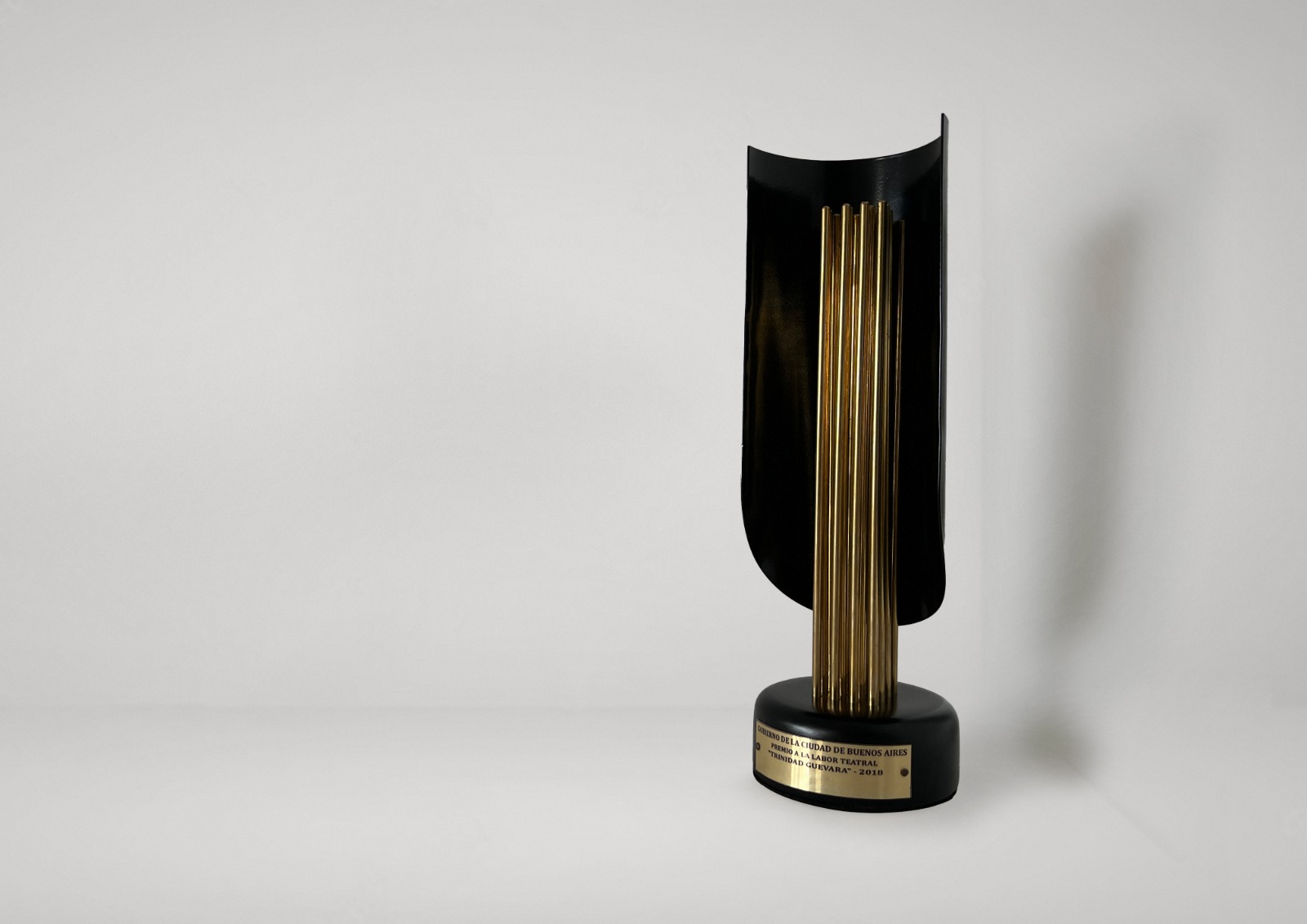 Premios Trinidad Guevara 2023: Conocé los artistas nominados