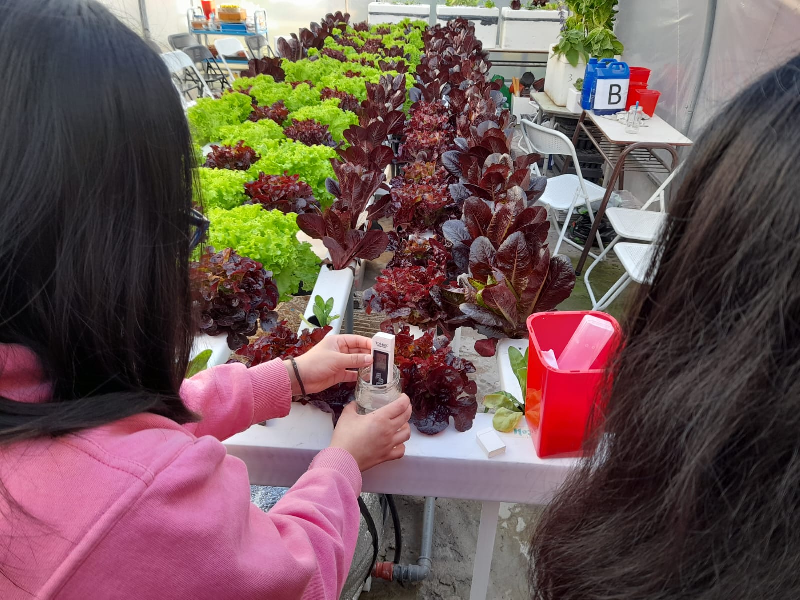 Las huertas como escenarios de aprendizaje e inclusión en el mundo laboral