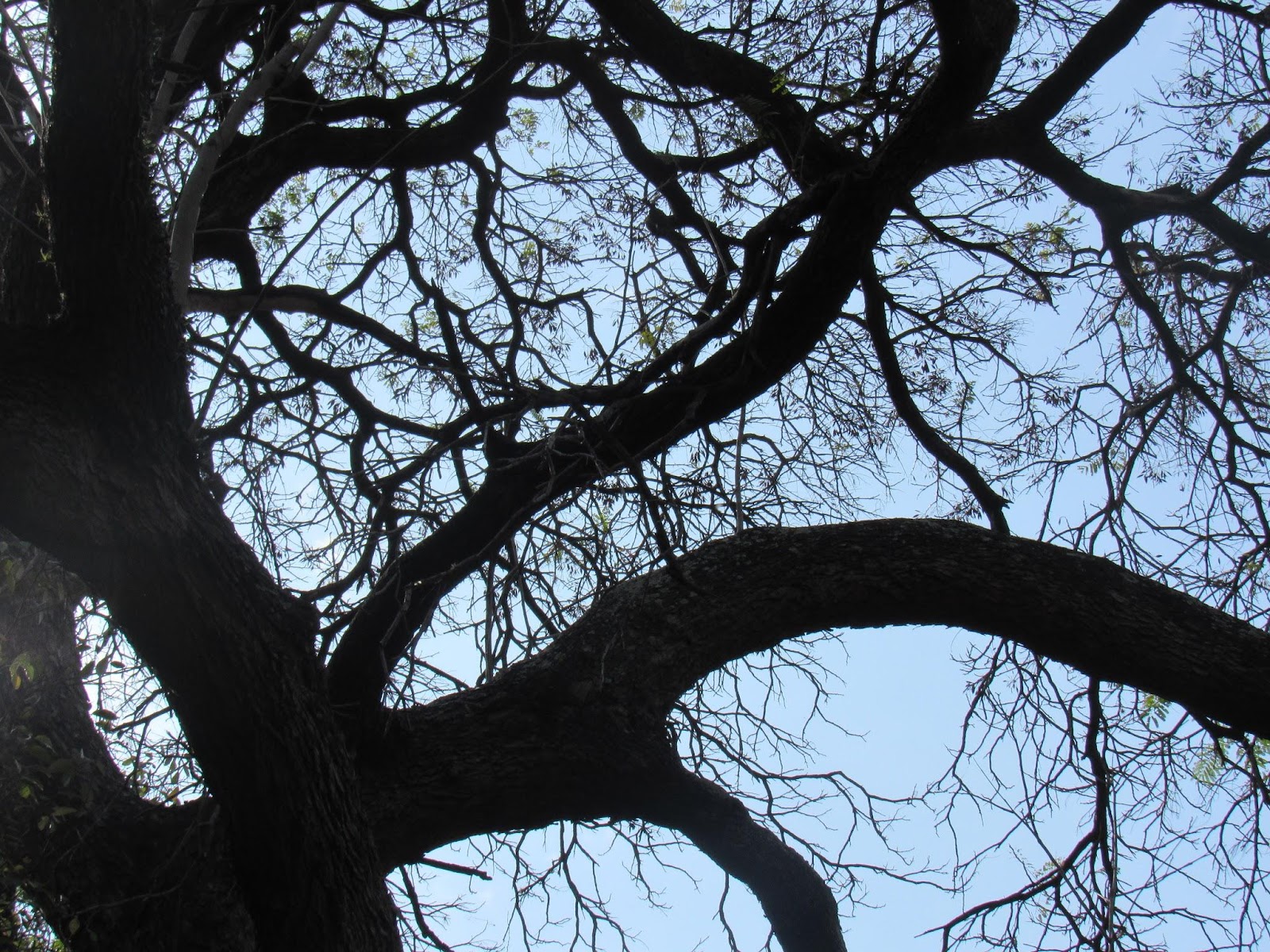 Capacitaciones brindadas del “Sello Empresa Mujer”