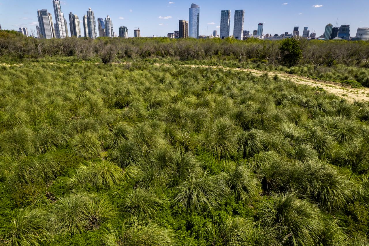 Humedales de la Ciudad: cómo ayudan a mitigar las altas temperaturas durante esta ola de calor