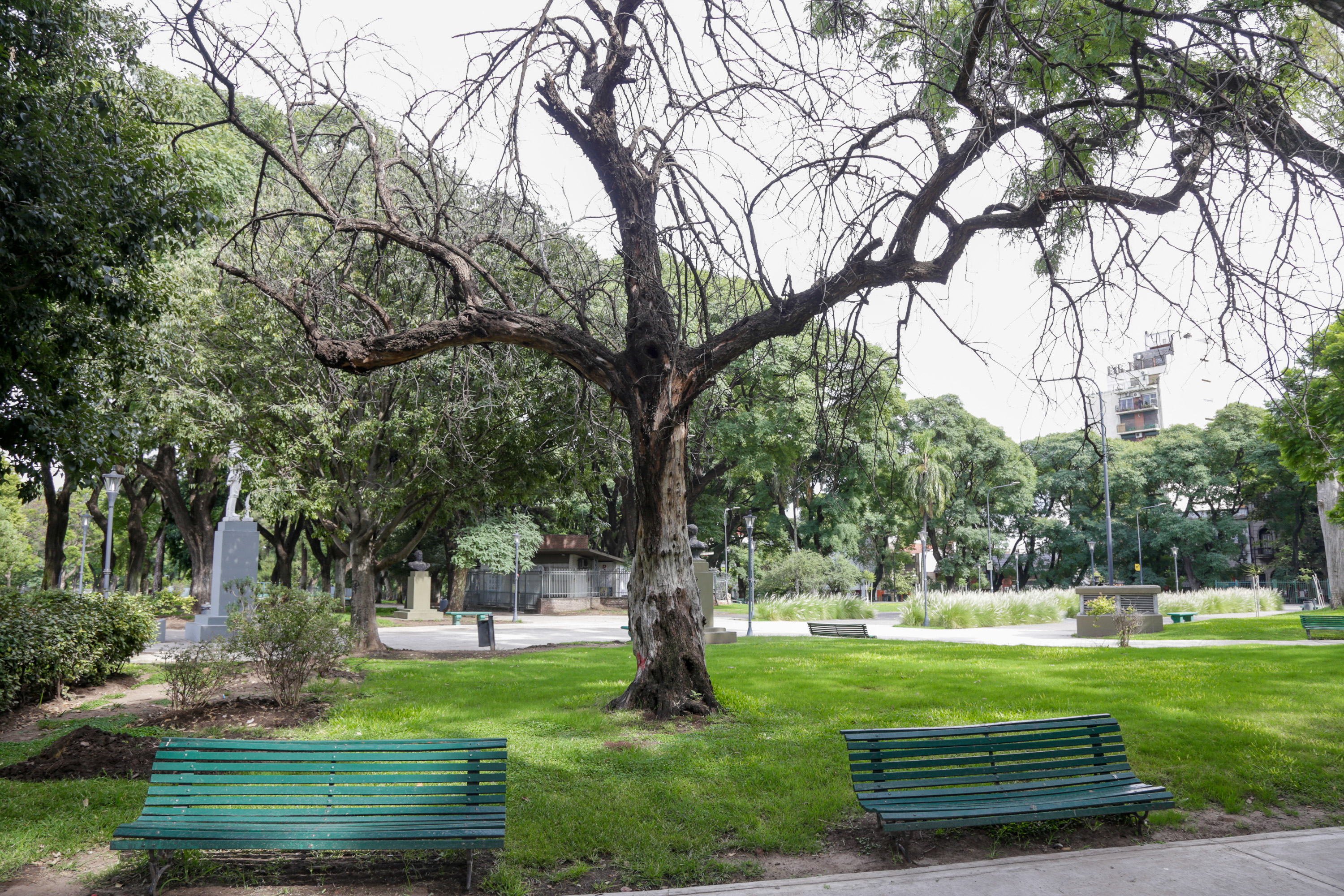 El Parque de los Patricios se encuentra cerrado debido a trabajos de arbolado