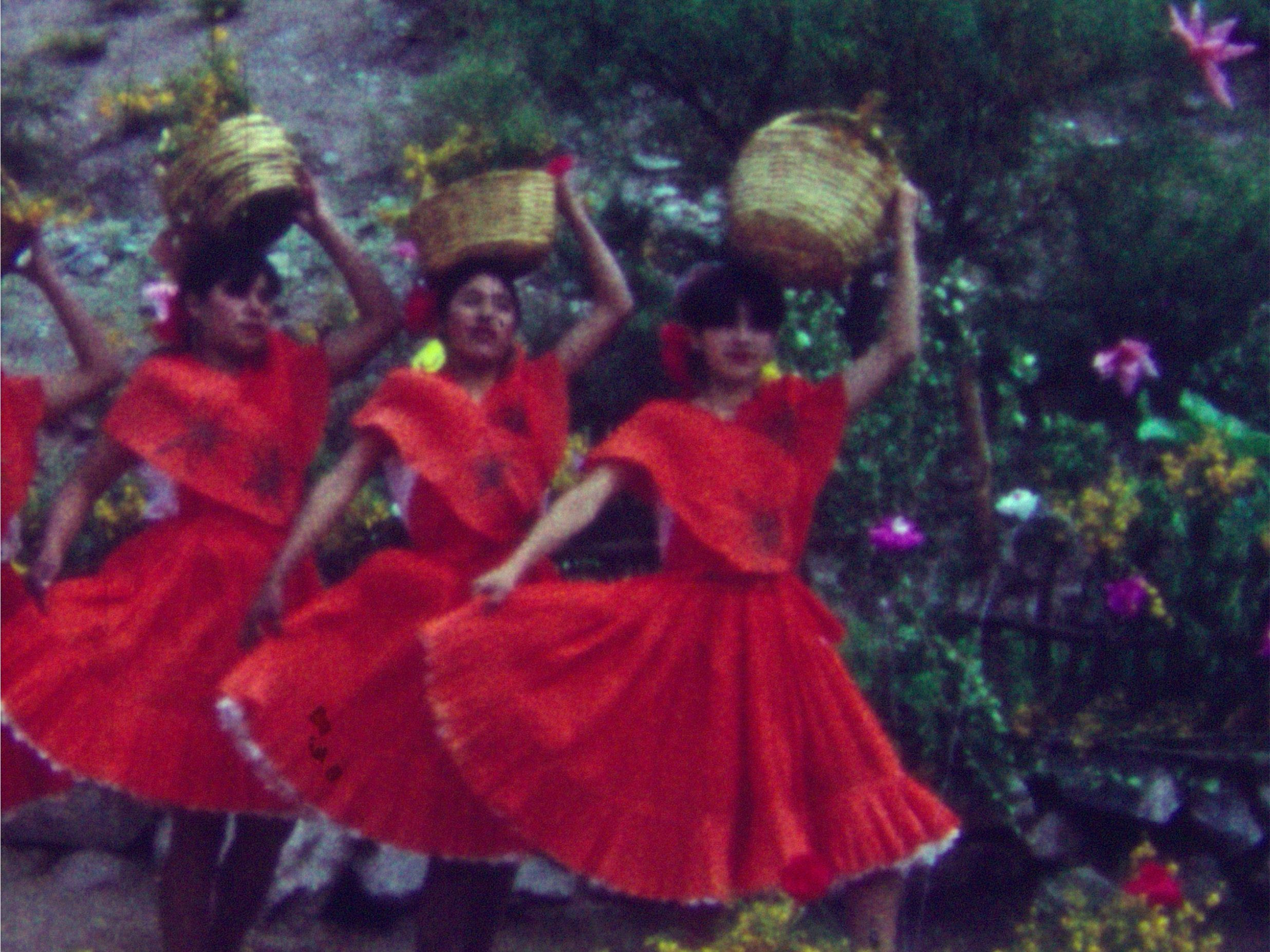 Fin de semana largo en el Museo del Cine