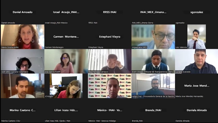 Taller Virtual del Grupo de Trabajo de Democracia Ambiental de la RTA