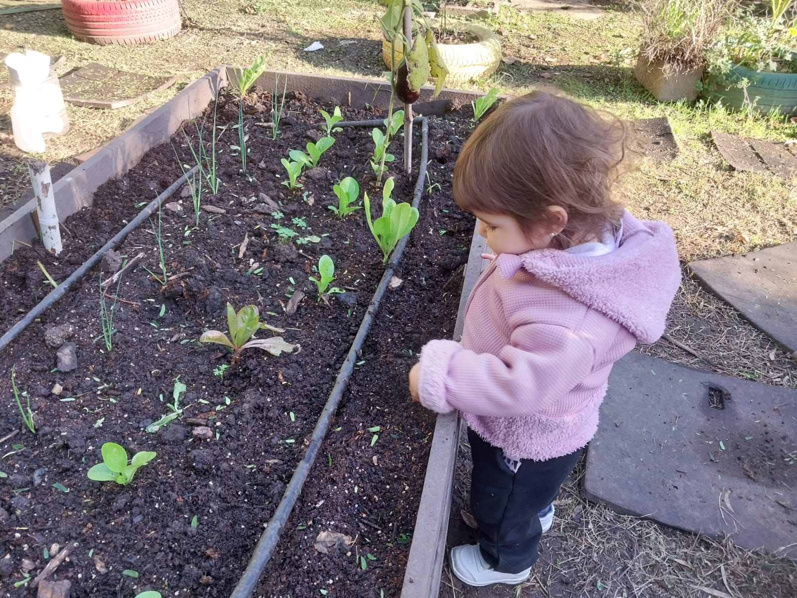 Promovemos la Educación Ambiental en las escuelas en una nueva Semana del Ambiente