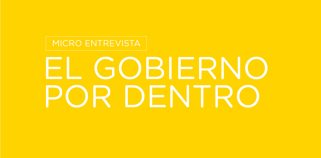 EL GOBIERNO POR DENTRO: