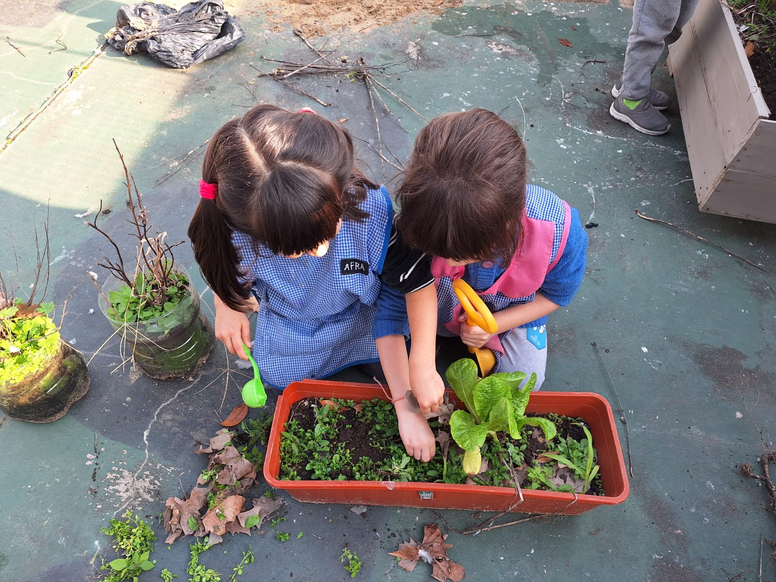 Escuelas en acción en la Semana del Ambiente