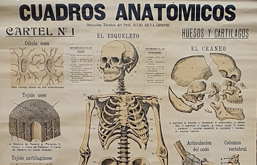 Festival de invierno en el Casco Histórico