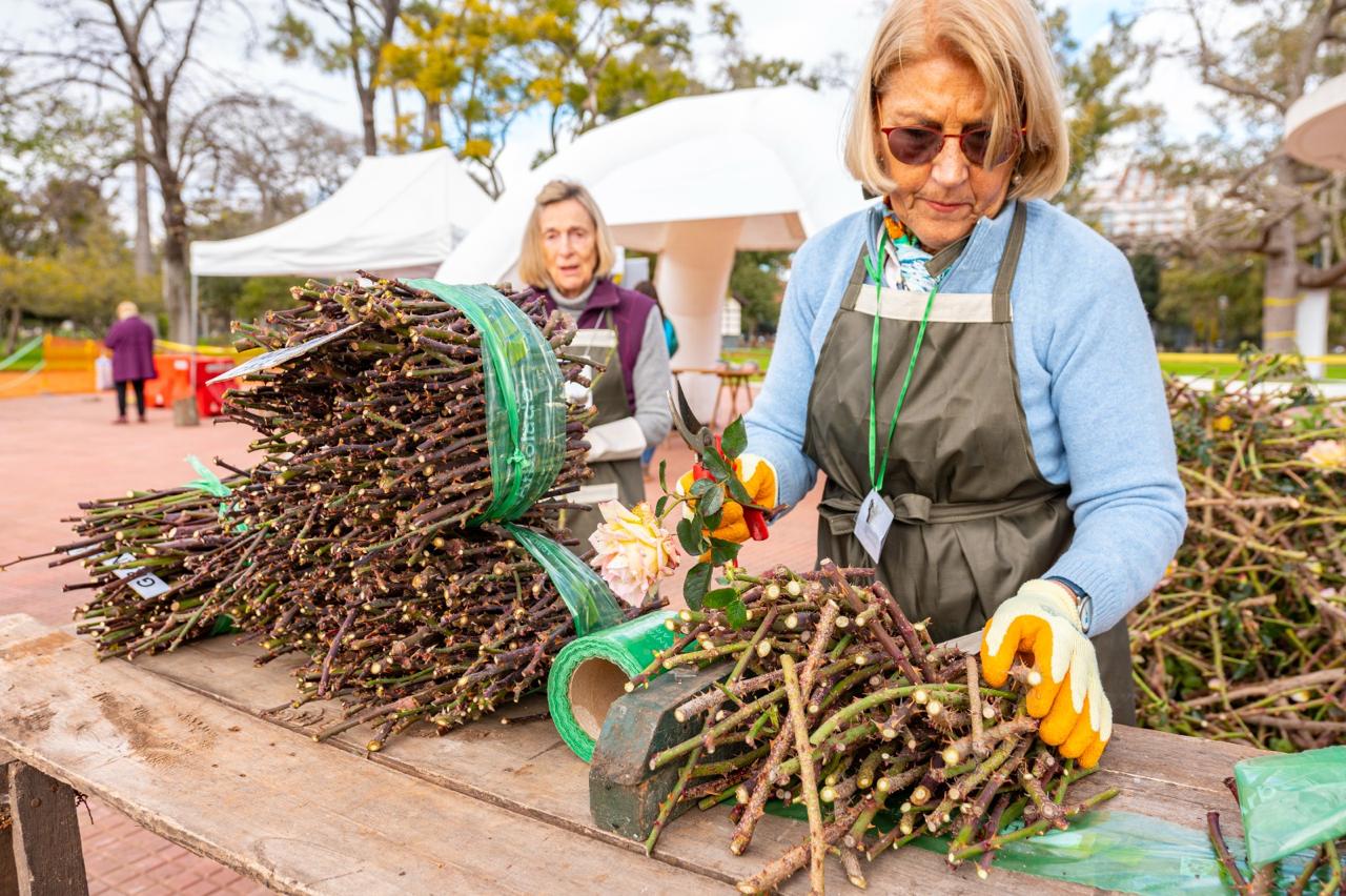 El Parque 3 de Febrero realiza la poda de su rosedal y se reparten esquejes a los vecinos