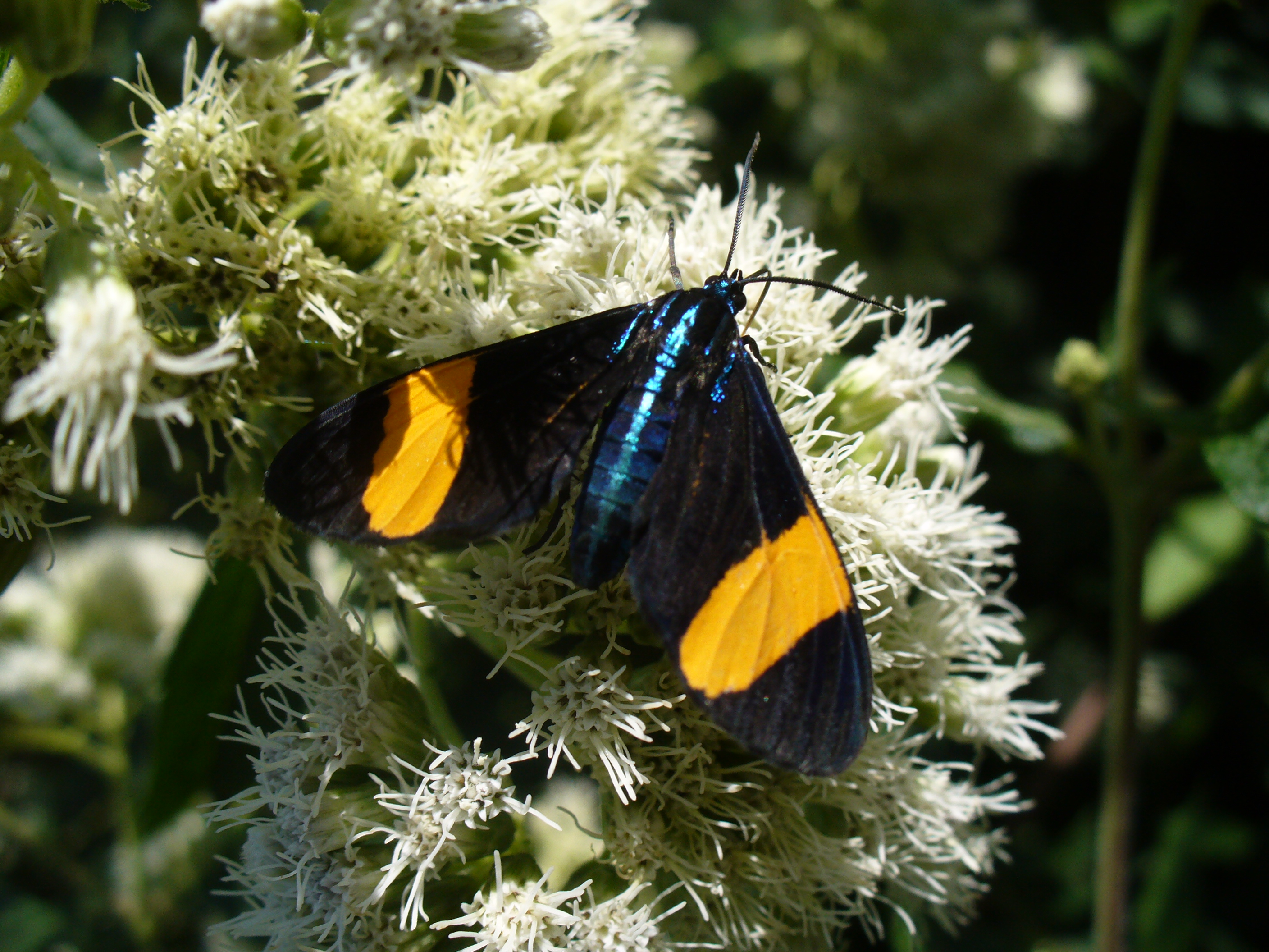 Nuevos proyectos, nuevos subsidios