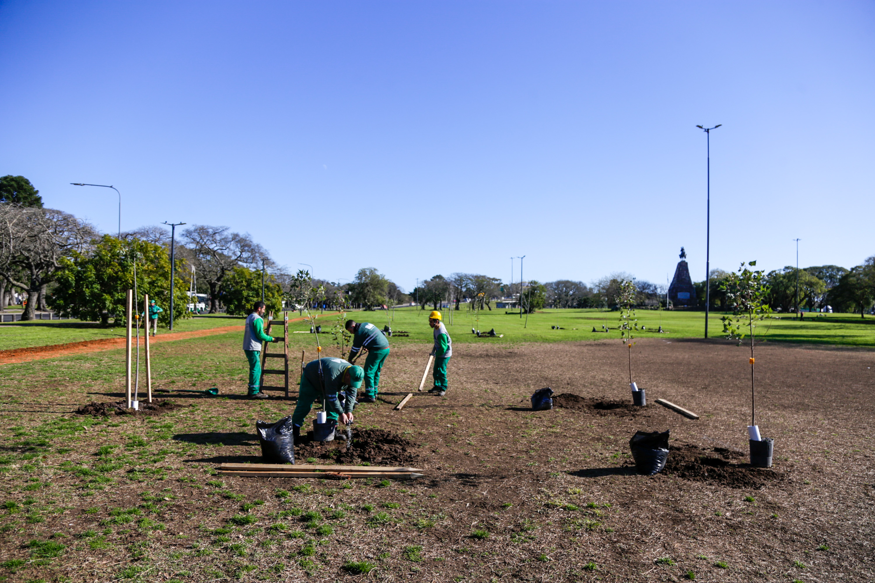En tres meses, la plantación anual de árboles en Ciudad de Buenos Aires llegó el 53%