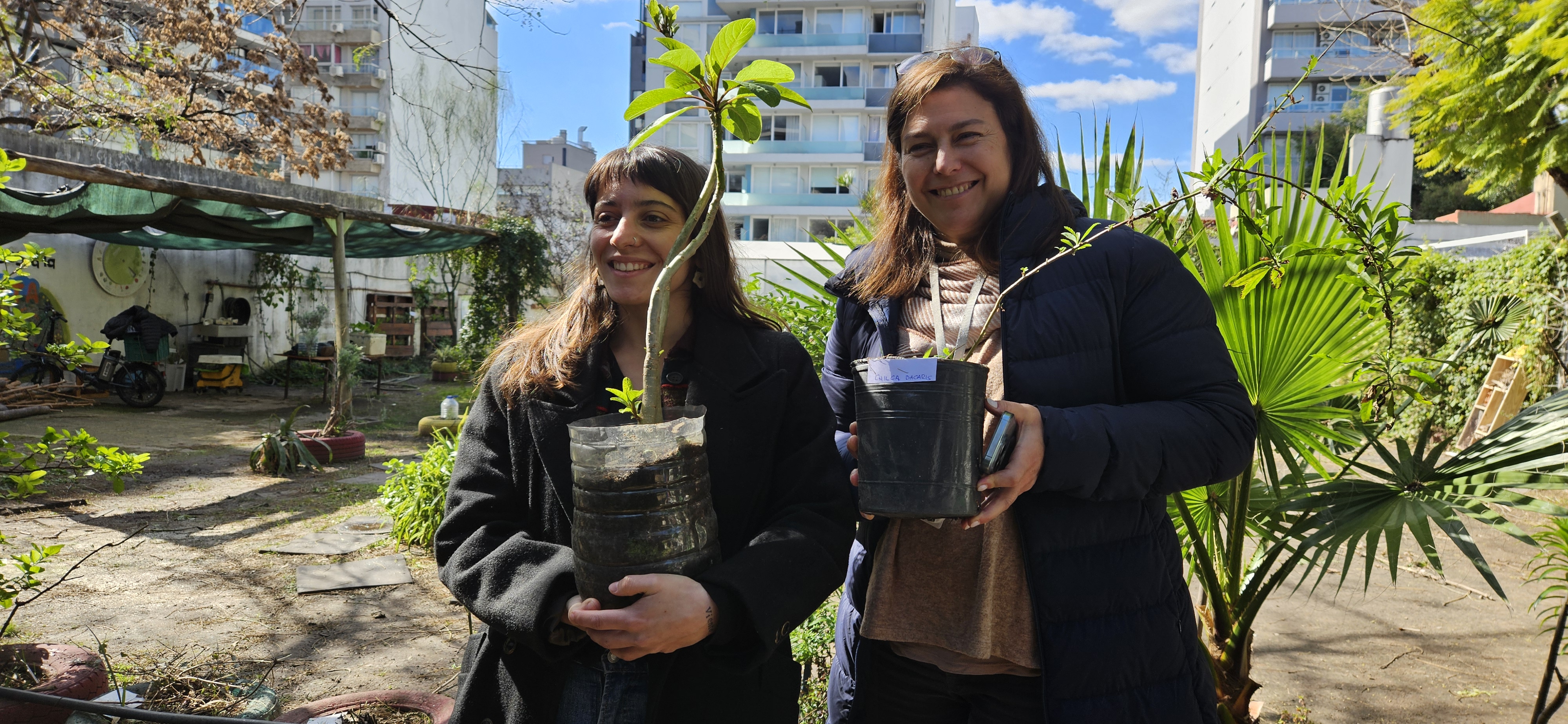 Cuidá tu árbol: las escuelas con las manos en la tierra