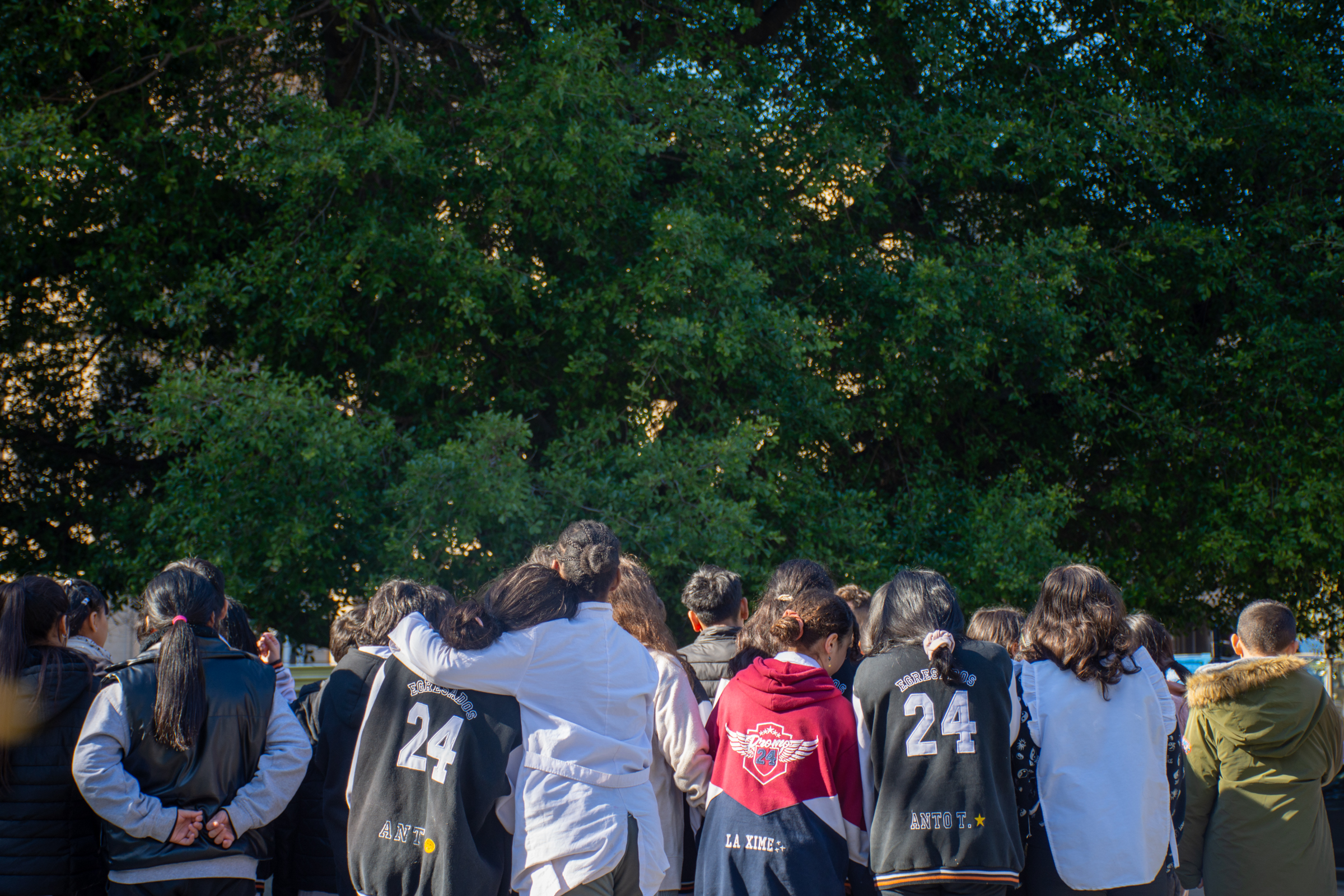 Celebramos la Semana del Árbol en la Ciudad