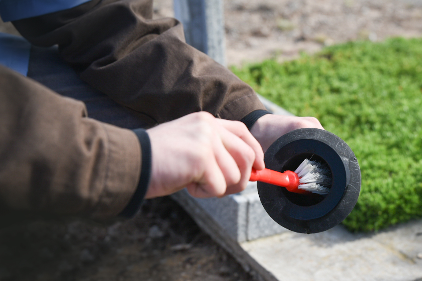 Limpieza criaderos DENGUE.jpg