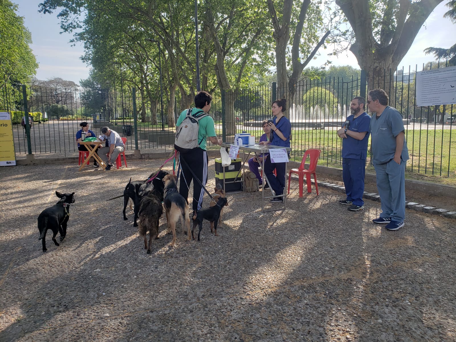 Día Mundial contra la Rabia: se realizó una jornada de vacunación gratuita para perros y gatos en el Parque Centenario