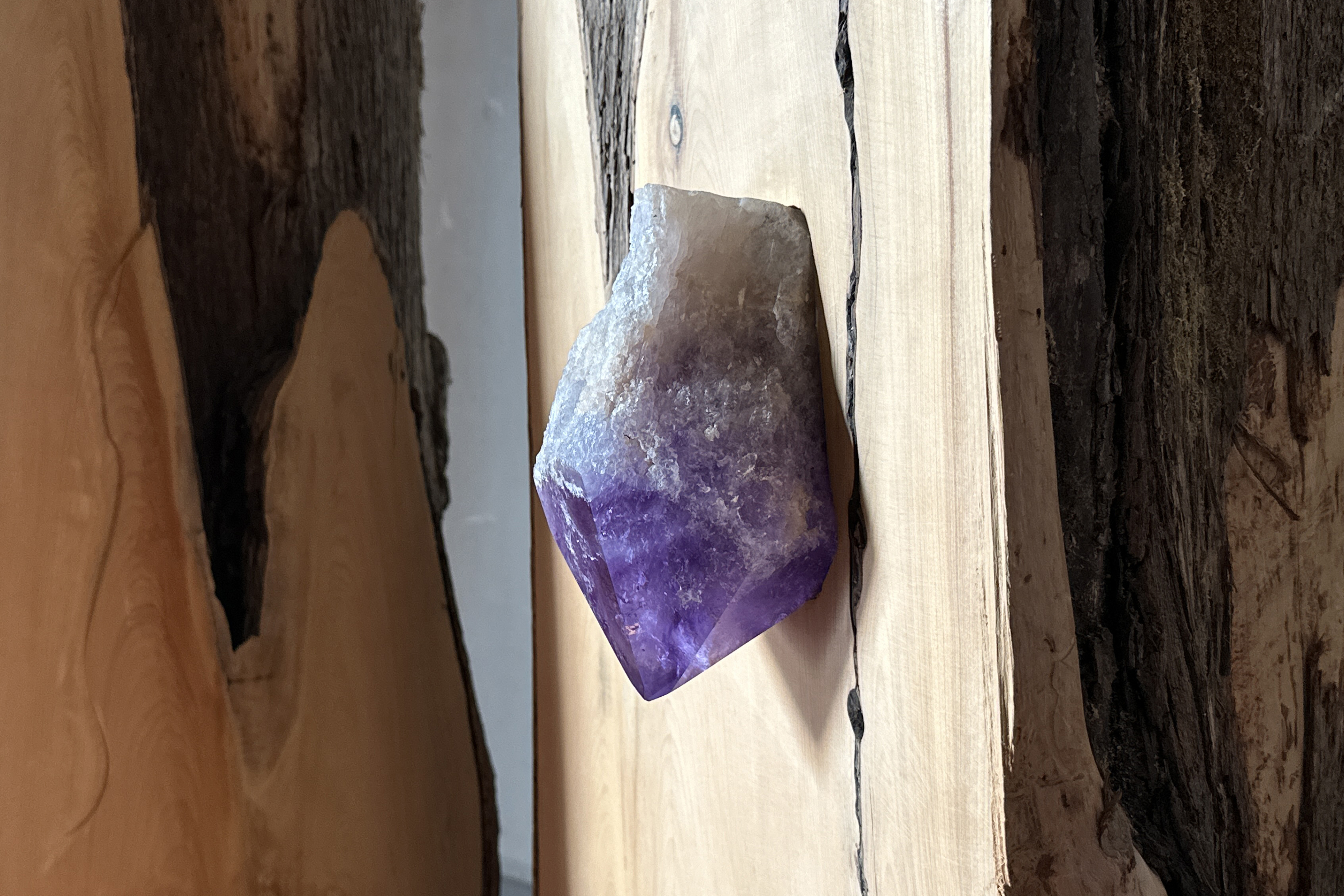 El arte se fusiona con la naturaleza y el patrimonio del Museo Larreta