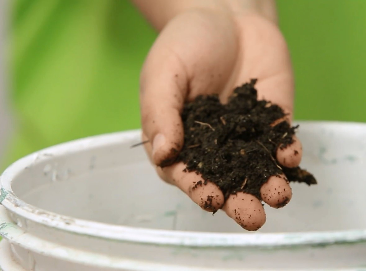 Video para empezar a compostar en tu casa y una guía para descargar 