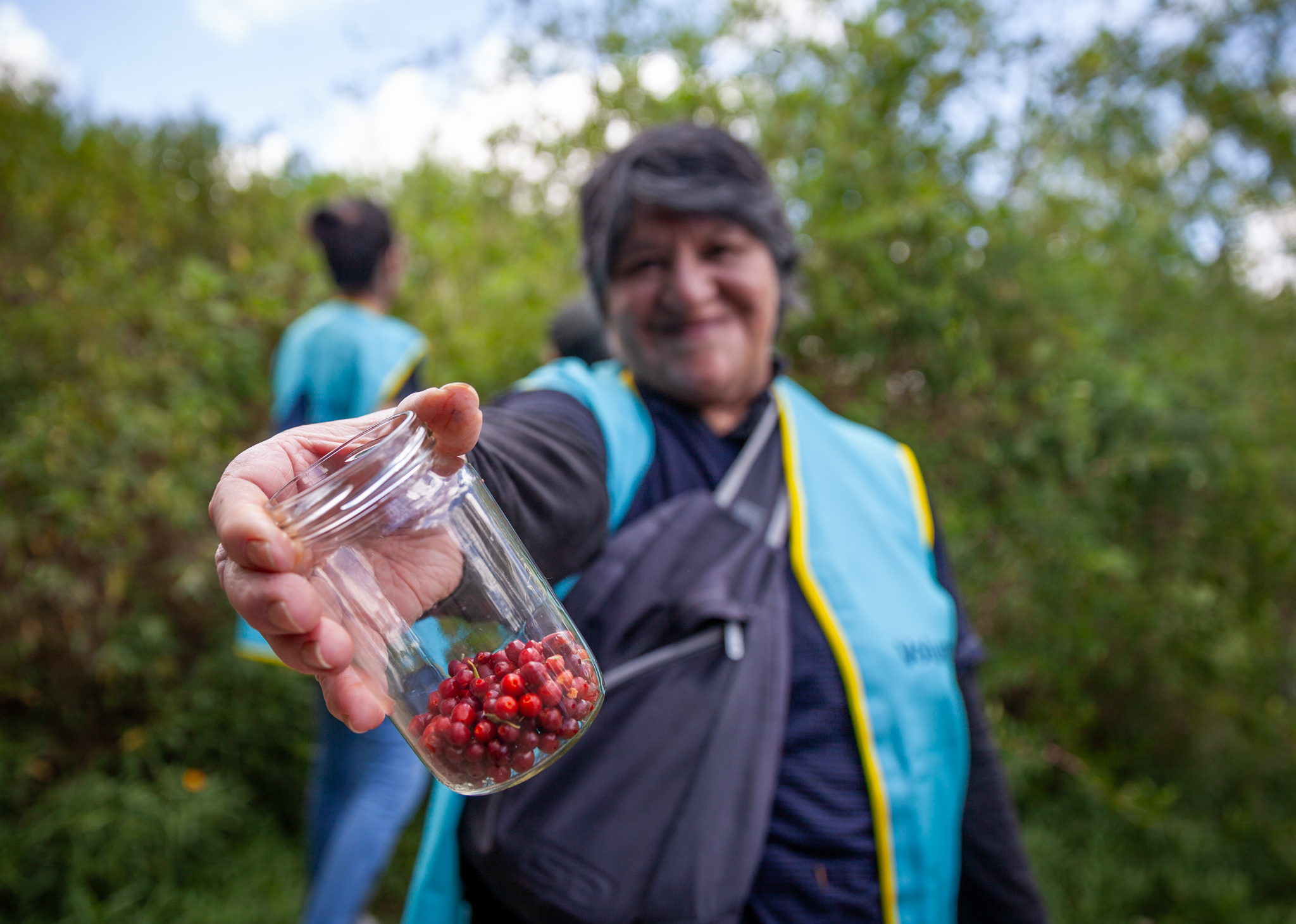 Voluntarios recogieron frutos en la Reserva Ecológica Lago Lugano