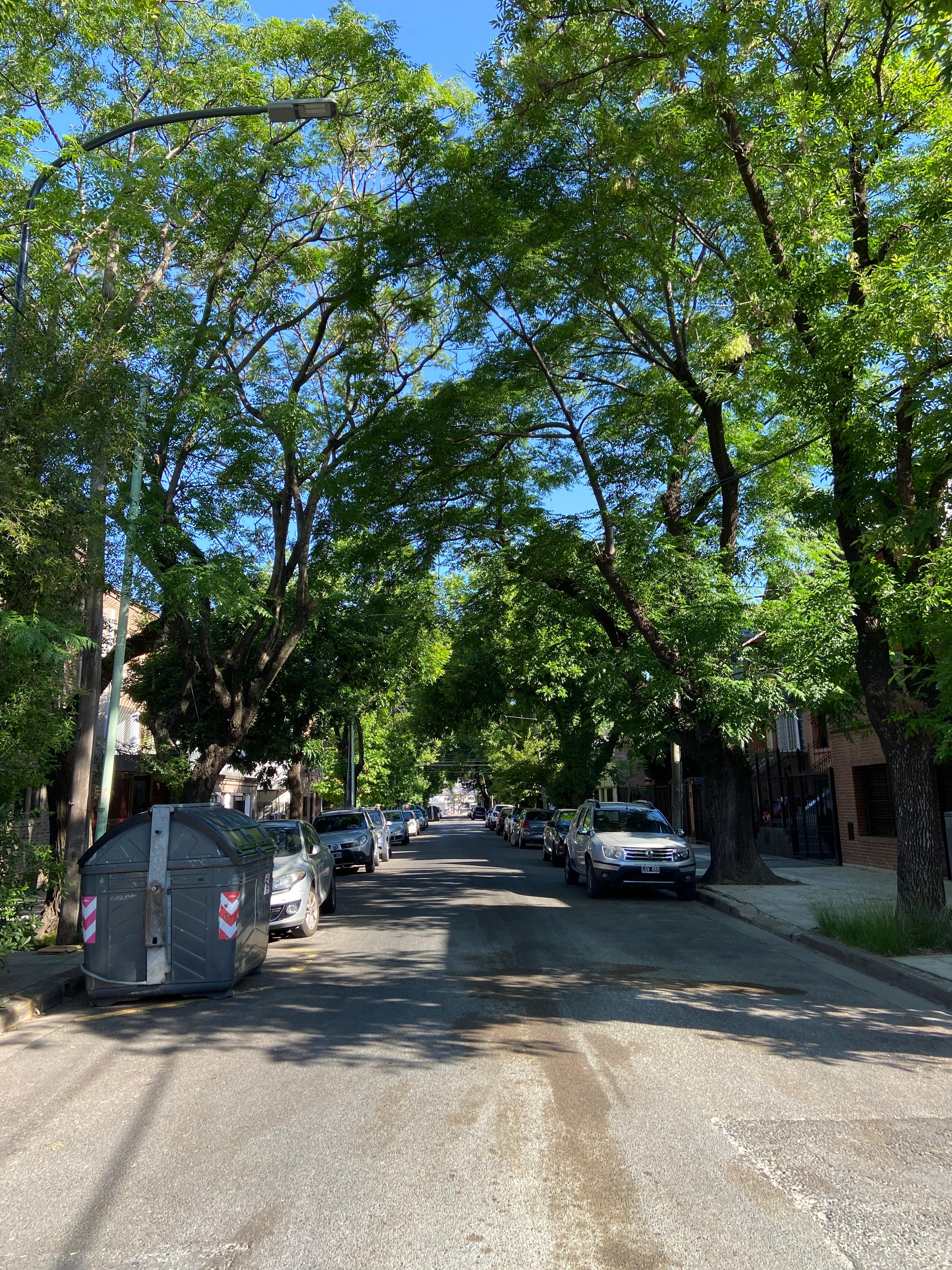 Núñez: un tramo de la calle Grecia cambió de sentido