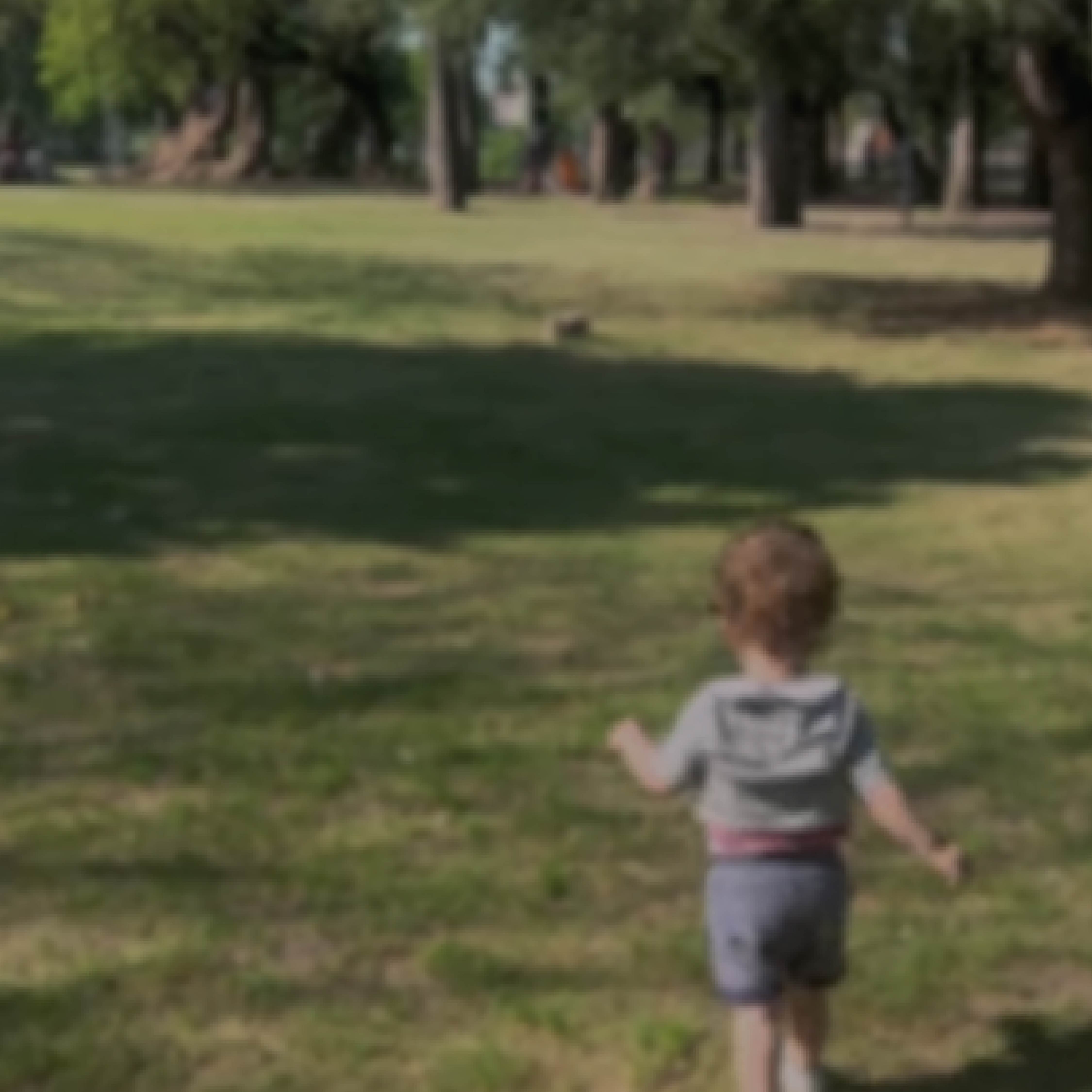 148 postulaciones y un camino de reflexión: avances en el caso del niño L