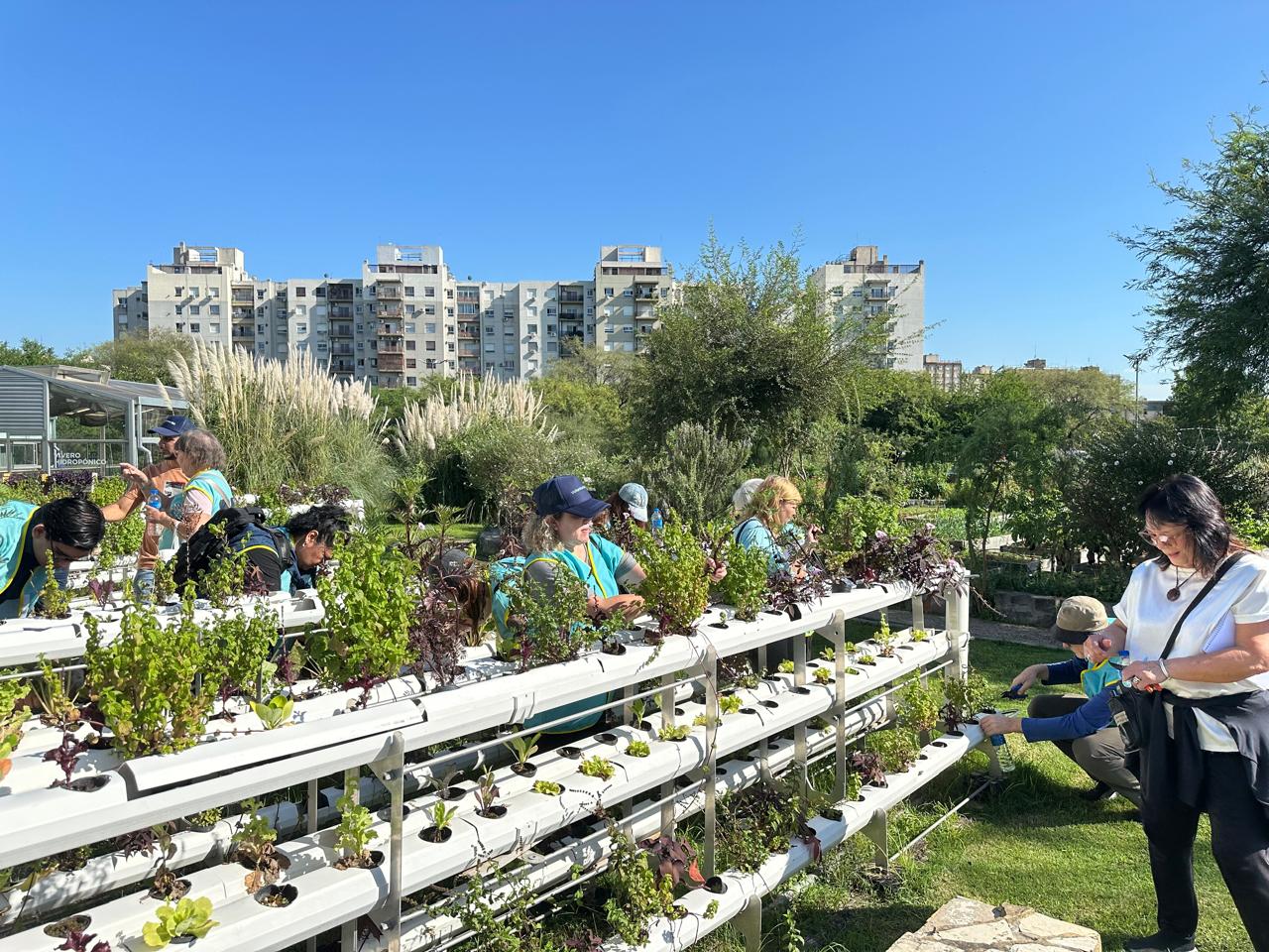 Nuevos voluntarios en el CIFA