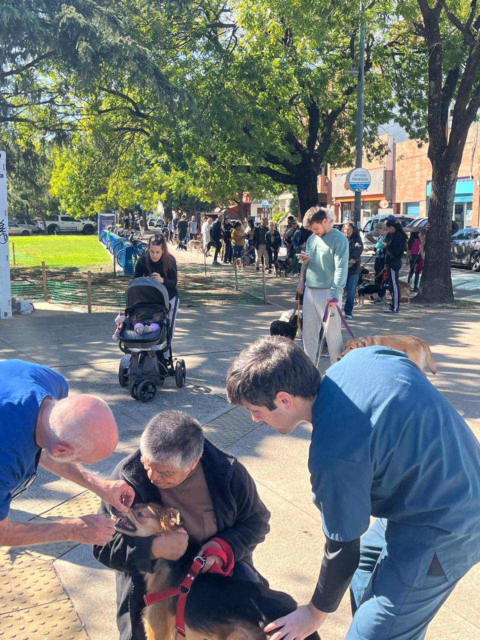 Postas de salud para mascotas en la Ciudad