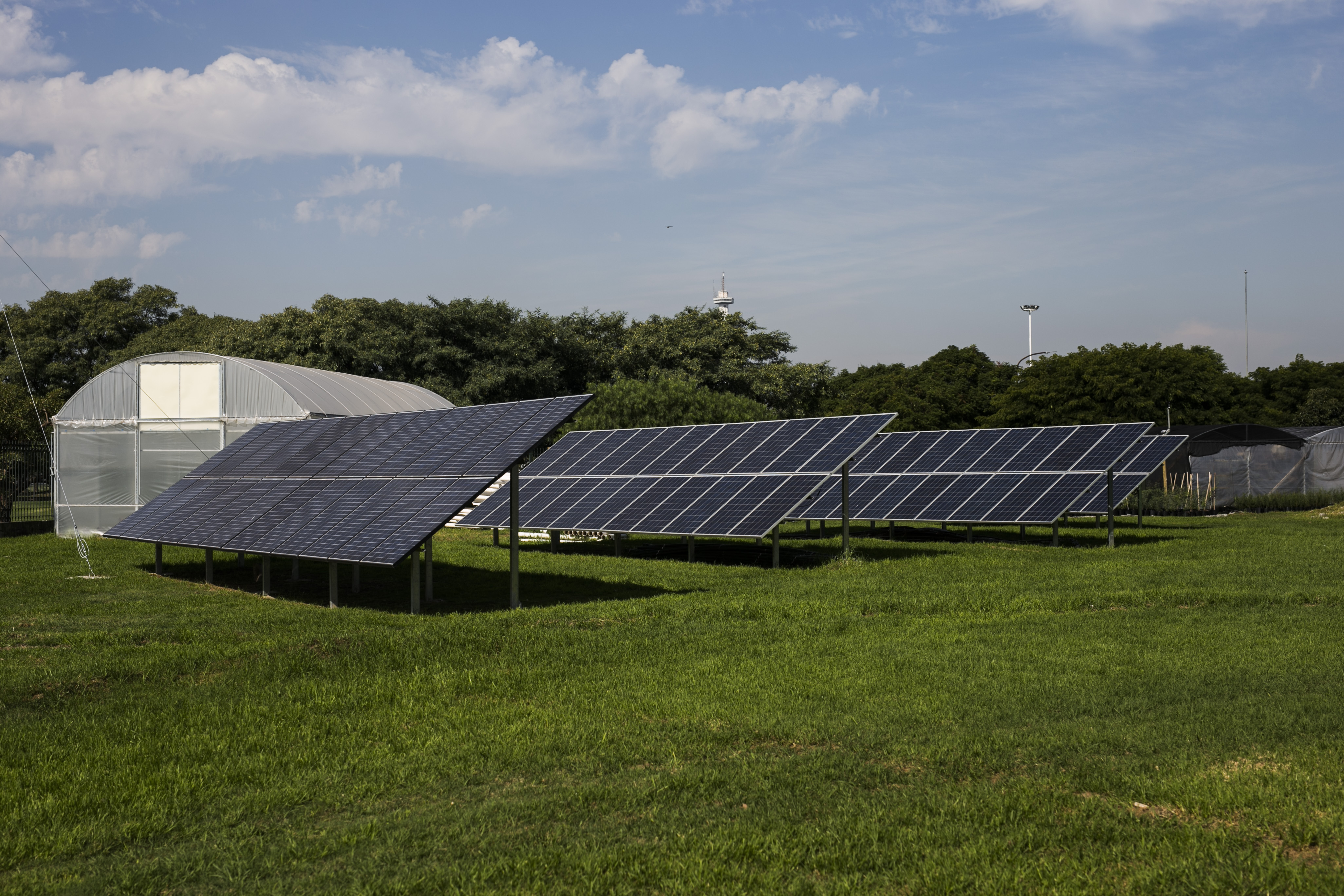 Especialización en Ciudades Sostenibles: capacitación gratuita