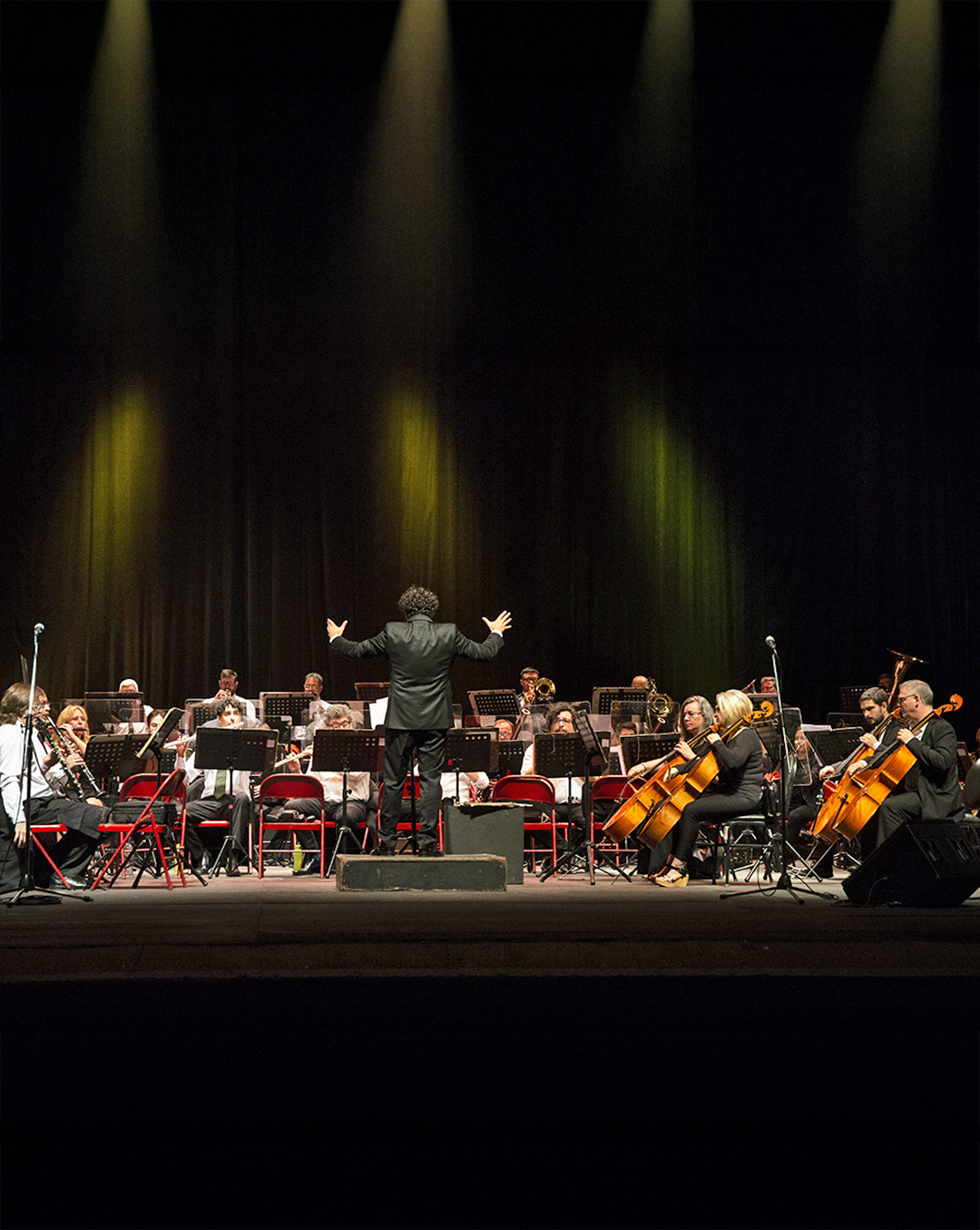  La Banda Sinfónica de Ciudad  celebra a Chaikovski 