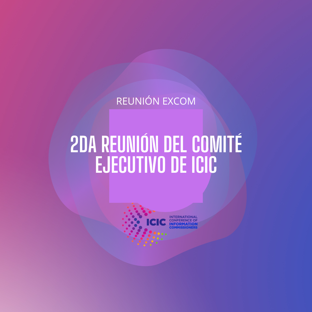 El OGDAI en el Comité Ejecutivo de ICIC