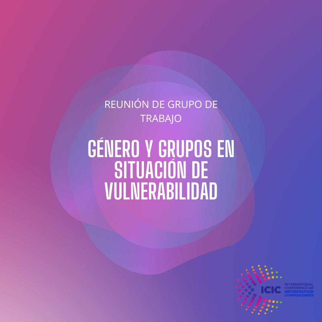 Reunión del Grupo de Trabajo de Género y Grupos en Situación de Vulnerabilidad de ICIC