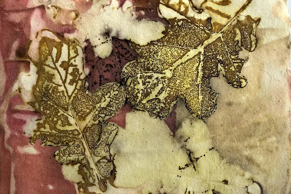 Territorios en tensión. Otras formas de habitar  