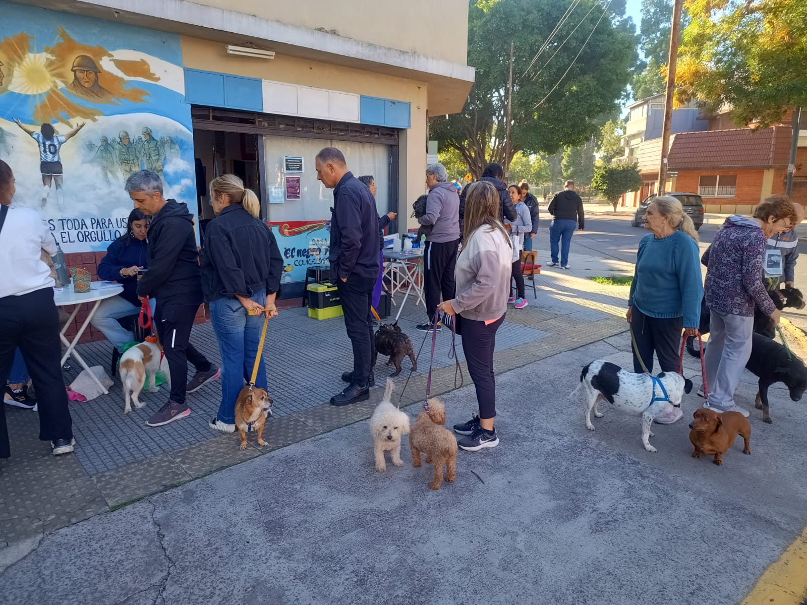 Postas de salud para mascotas: conocé el cronograma de junio en la Ciudad.