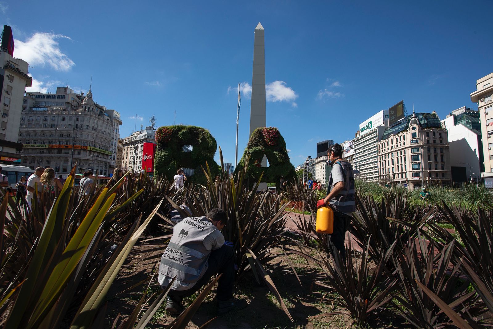 Control de plagas: acciones permanentes para todos los porteños 
