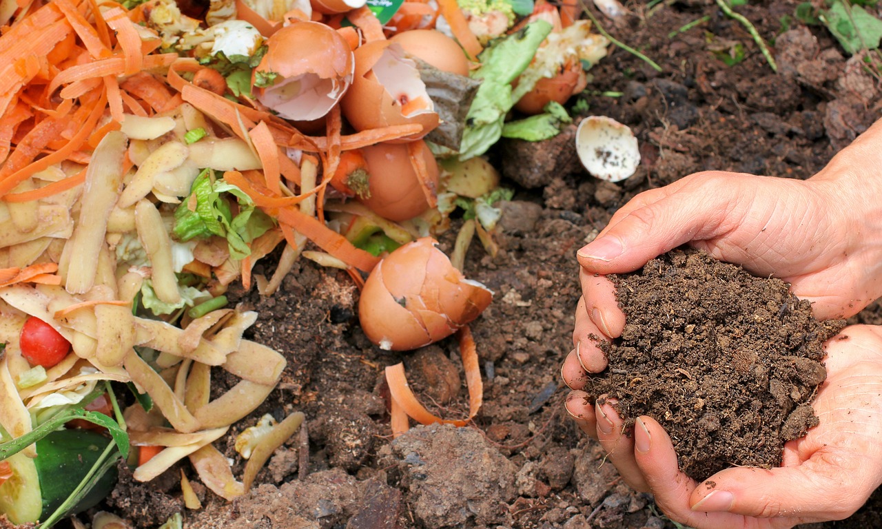 Educación Ambiental y circularidad desde los Comedores Escolares