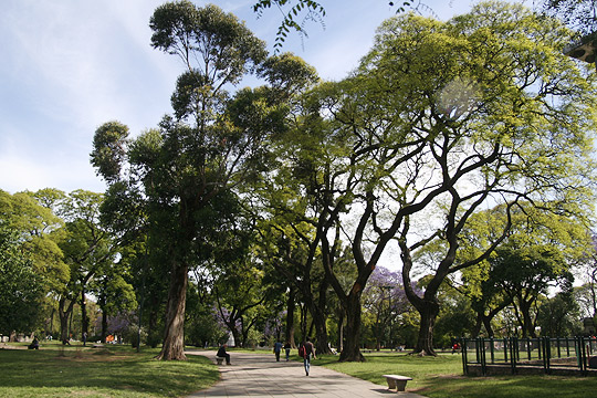 La Ciudad suma inversión privada para mejorar 16 parques y plazas con cafés y nuevos servicios