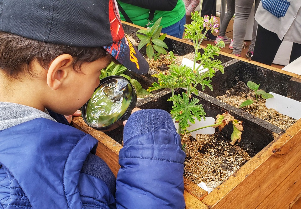 Semana del árbol: una oportunidad para aprender y promover la biodiversidad en la Ciudad